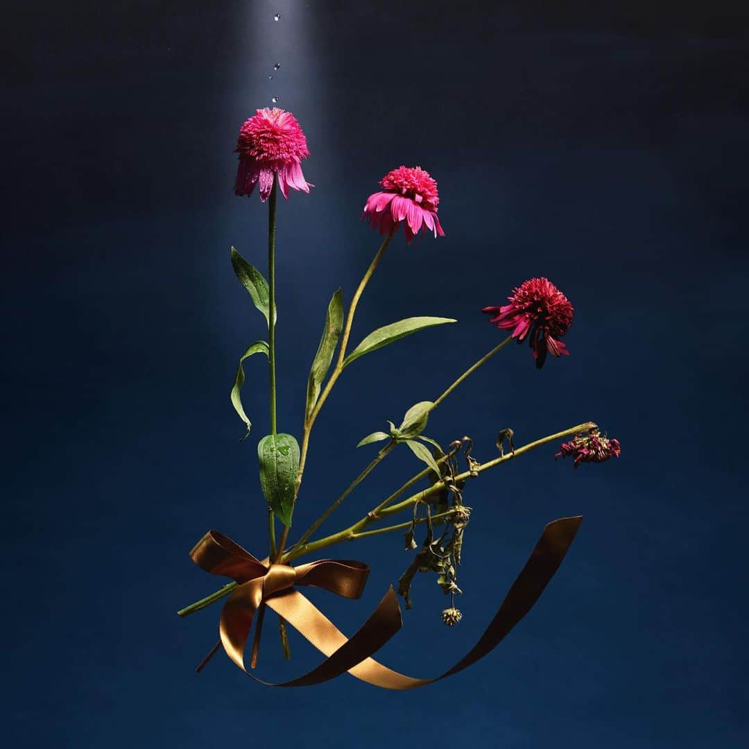 めいちゃんのインスタグラム：「【重大告知】  2022.07.31 0:00  めいちゃん新曲「Bouquet」の先行配信が決定！！！！！  ”生と死"が共存するこの世界の繊細さと切なさを表現しました！！！ 沢山聞いてください！！！  #めいちゃんBouquet」