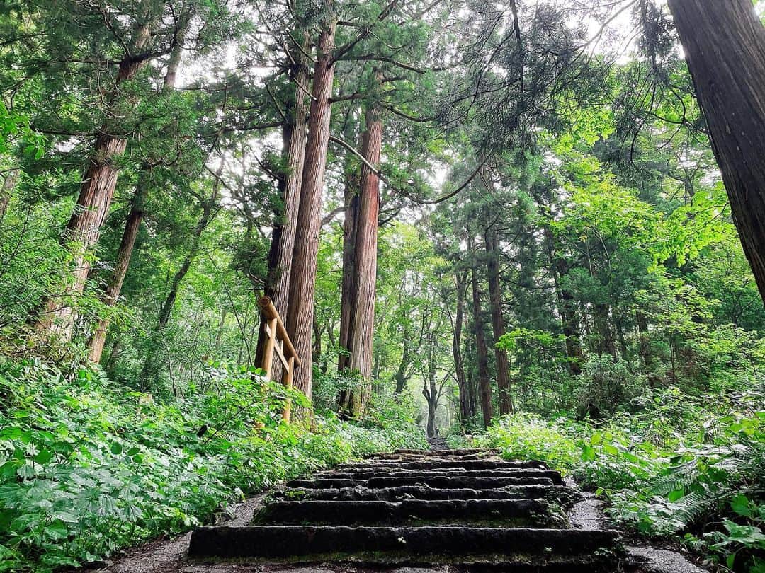 萩谷楓のインスタグラム：「・ 神々に見放されませぬようお参りに行ってきますた。 杉の木のようにまっすぐ育ちたい人生でした。途中からめっさ雨降って来たんやけども。   #戸隠神社  #パワースポット  #全身でパワー浴びるスタイル」