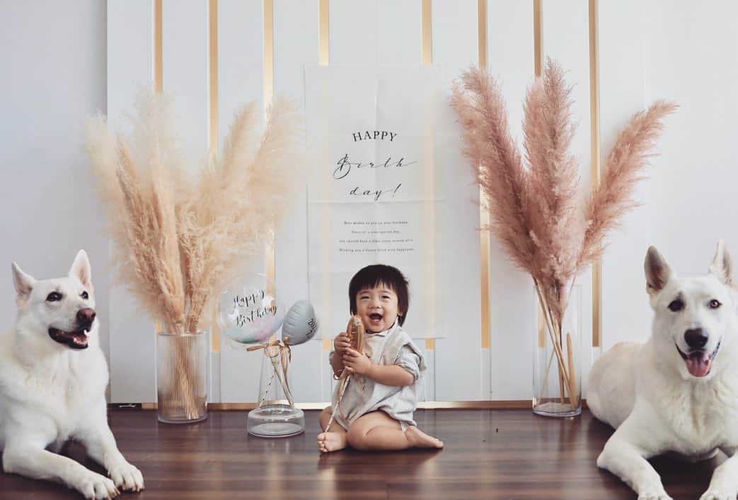 yukiko_ismartのインスタグラム：「Happy Birthday🎉 息子が１歳になりました  災難つづきで大変な1年でしたが 振り返ってみるとアッちゅうまっ！  ほんまは昨日の誕生日に撮りたかったんやけど まさかのお熱でお祝い📸できず。。 今朝、ようやく復活！です。 コロナは陰性やって夏風邪かな？ってことでした。 もうさ、 とっっっにかくよう熱だすねんけど（白目） 男の子って手ぇかかるんかな  これから歩くようなったら もっと大変なるんでしょう（白目2回目）  ハイハイ時期をしっかり噛みしめたいと思います✨  みなさんは体調お変わりないでしょうか とにかくクレイジーな暑さなんで どうぞご自愛くださいね＊ . . . . . . 羽根が可愛いバルーンは @fika_balloon さんの♥︎  #一条工務店 #アイスマート #注文住宅 #マイホーム #マイホーム記録 #子育て #男の子ママ #男の子コーデ #リビング #育児 #いぬすたぐらむ #犬のいる暮らし #dog #dogsofinstagram #大型犬 #赤ちゃんのいる生活 #赤ちゃんのいる暮らし #赤ちゃんと犬 #baby #dogandbaby」