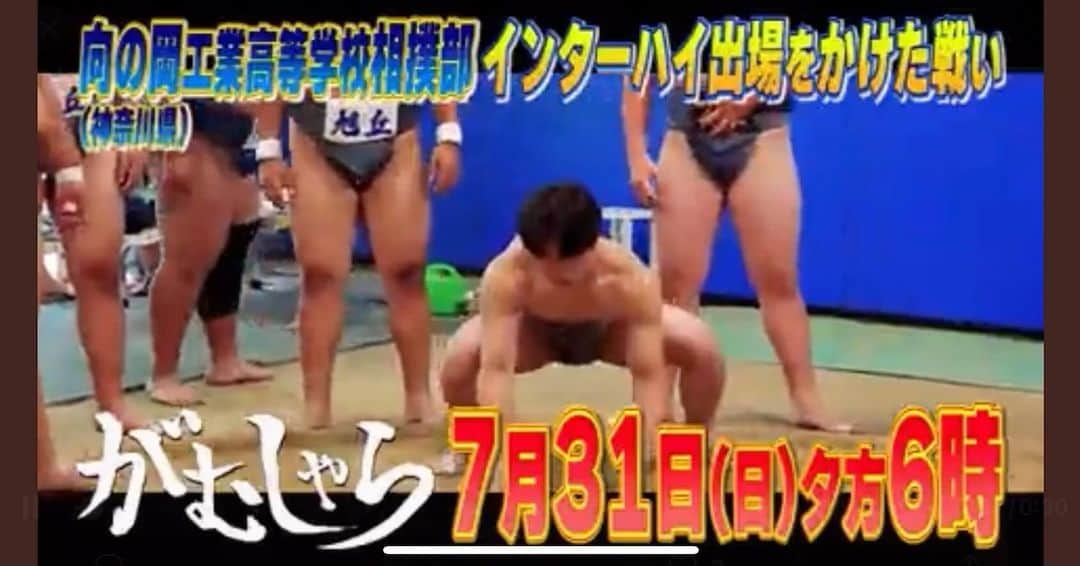 藤原一裕のインスタグラム：「日本人てやっぱ相撲で興奮しちゃう！  「がむしゃら」  本日18:00 BS松竹東急で放送。」