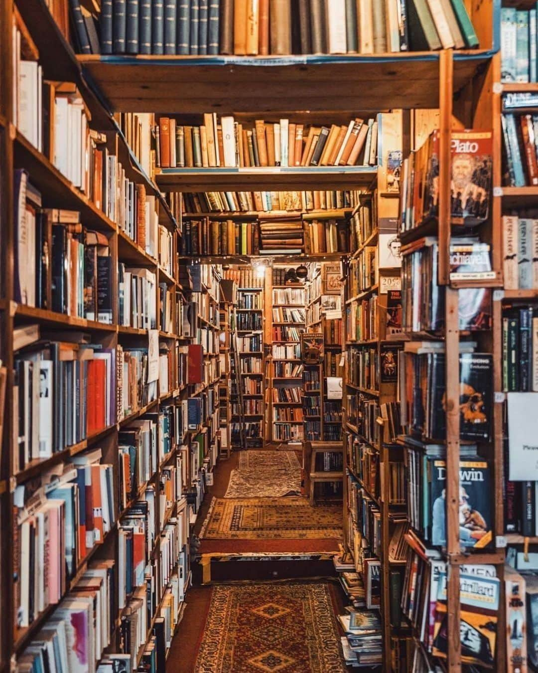 Architecture - Housesさんのインスタグラム写真 - (Architecture - HousesInstagram)「The world’s most beautiful libraries 📚😍 Which one is your favourite?  1. Dublin, @chrishillphotographer  2. Munich, @themodernleper  3. Rio de Janeiro, @elensham  4. Porto, @joethommas  5. Venice, @takemyhearteverywhere  6. Edinburgh, @elensham  7. Tianjin, @jordhammond  8. Görlitz, @themodernleper  9. Amsterdam, @elensham  10. Zhongshuge, @xlivingart   _____ #fotografiadearquitectura #archvisuals #arquitecturamoderna #arquitecturacontemporanea #contemporaryarchitecture #arquitecturadeinteriores #project #design #architecturedetails #allofarchitecture #houseinspo #archidesignhome #architecturelover #interiorarchitecture」7月31日 23時40分 - _archidesignhome_