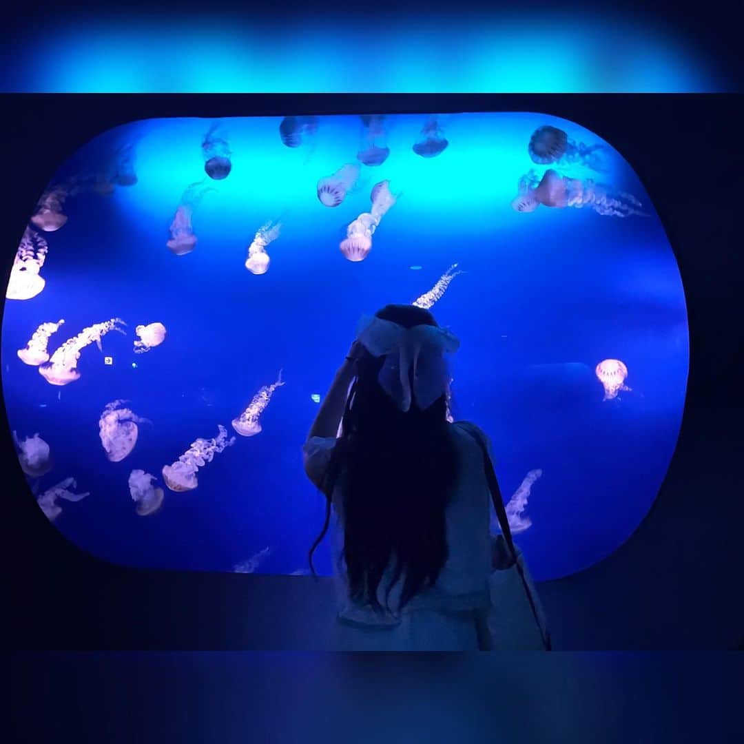進藤あまねのインスタグラム：「🐙🐧🐠🐢🐟🐡🦈🐬🐳🐋  いつものフッ軽ちゃんと江ノ島旅してきました🌟 私は風景・生き物・フッ軽ちゃんを撮影して、フッ軽ちゃんは私を沢山撮ってくれたよ〜📷 （どの写真も少しづつ投稿するね📮💌） 2人ともハーフアップヘアして気分は双子でした👯‍♀️🎵  #江ノ島観光 #江ノ島 #新江ノ島水族館 #ねすぐらむ」