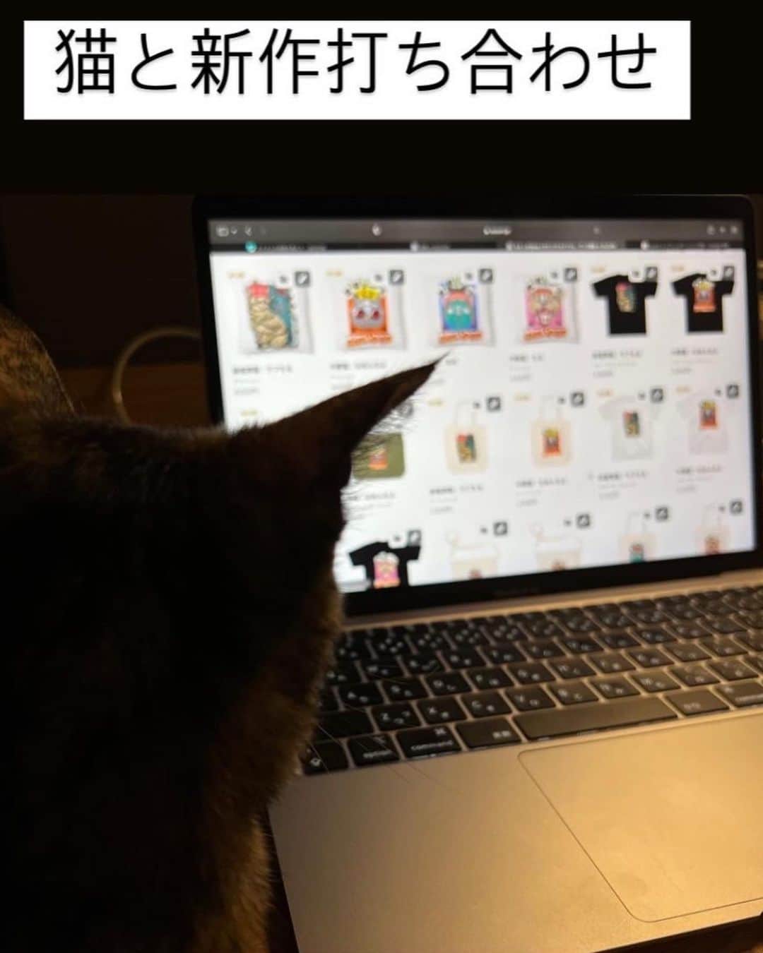 土山茜さんのインスタグラム写真 - (土山茜Instagram)「8/7(日)まで、suzuriTシャツ1000円引きSALE開催中🎇  実は、売り上げの一部を保護猫団体に寄付する企画『chillpop』をやっております！ 愛猫で保護猫のチルちゃんをモチーフに @shuntobbukyo さんにイラストをお願いして、売り上げの一部を保護猫団体に寄付します🐱  今回、新作『中華猫：なめんなよ』『麻雀牌猫：ちる』が登場🐱🥡 このタイミングを逃さずに是非GETして欲しいです🥺  余裕無いよ！て方はサイトの「♡/ズッキュン｣だけでもお願いします✨   #SUZURIのTシャツセール  #suzuri  #保護猫活動   #保護猫と暮らす   https://suzuri.jp/chillpop」8月1日 1時34分 - tsutchama