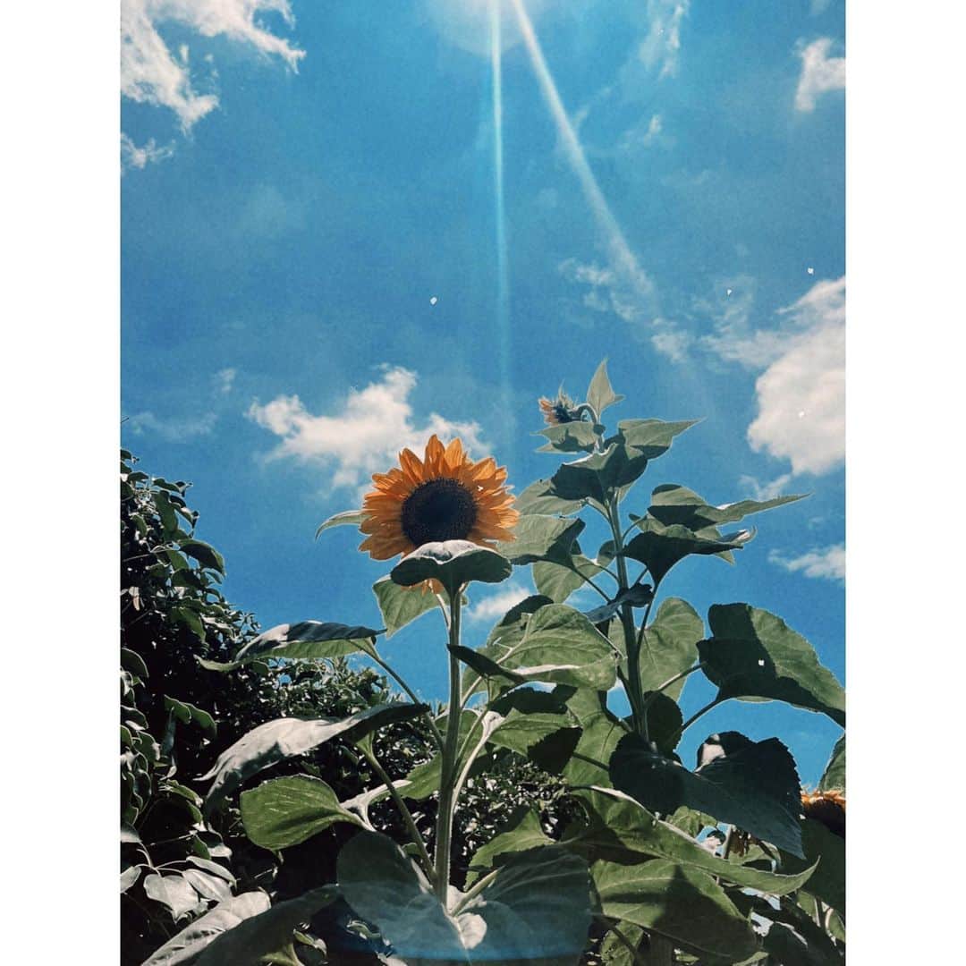 紗栄子のグルメインスタ