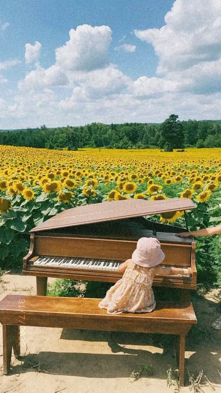 ブレントン・スウェイツのインスタグラム：「Keeping this memory here to remember the hum of the bees, the warm sun and playing the piano to 1.1 million sun flowers. What a gift the sunflower is right? 🌻」