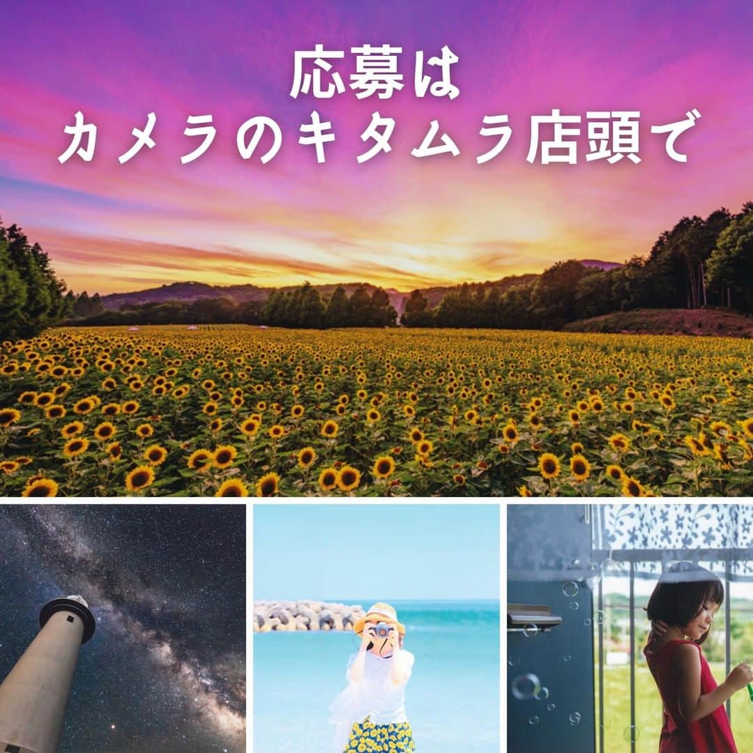 カメラのキタムラさんのインスタグラム写真 - (カメラのキタムラInstagram)「ひまわりに入道雲、夏の風景がまぶしい時期ですね。カメラのキタムラでは「春夏」をテーマにしたフォトコンテストを開催中！ぜひご応募ください。  📷カメラのキタムラ　フォトコンテスト2022＜春夏＞📷 . こころ動かされた風景、日常のふとした瞬間。かけがえのない思い出や感動を写真にしませんか。 お気に入りの写真をたくさんご応募ください。スマホ、フィルムカメラ、ミラーレス一眼、一眼レフなにで撮ってもOKです。 . [テーマ]春・夏に撮った写真 過去に撮影した写真もご応募ください。 ■１．春の風景 桜、春の花、新緑　など ■２．夏の風景 ひまわり、紫陽花、川、海、夏雲　など ■３．ナイトフォト 夕景、夜景、星空、星景　など ■４．動物 野鳥、昆虫、水中の生物、動物園　など ■５．家族・ペット こどもの成長、赤ちゃん、ペット　など ■６．ポートレート 友人、季節の行事、モデルスナップ　など ■７．祭り・イベント 踊り、火祭り、祭りの準備、花火　など ■８．乗り物 鉄道、飛行機、路面電車、船　など ■９．自由 . . ━━━━━━━━━━━━━━━ . [応募締切]８月１５日（月） . ━━━━━━━━━━━━━━━ .  [応募方法] 写真プリントをカメラのキタムラ店頭でご応募ください。＊郵送も可 . ━━━━━━━━━━━━━━━ .  [各賞] グランプリ(1名)　30万円 特選(3名)　10万円 準特選(7名)　メーカー協賛賞品 入選(20名)　1万円分の商品券 佳作(50名)　3千円分の商品券 . ━━━━━━━━━━━━━━━ .  [審査員] 写真家　川合麻紀先生 . ━━━━━━━━━━━━━━━ . 【詳細】 カメラのキタムラホームページの「フォトコンテスト」メニューをご覧ください。 . . #桜 #お花見 #花畑 #あじさい #春景色 #ひまわり #花火 #夏景色 #イルミネーション #祭り #鉄道 #星景 #ポートレート #べビスタグラム #childrenphoto #childrenphotography #わんこのいる生活 #ねこすたぐらむ #キャンペーン #フォトコン #コンテスト #フォトコンテスト #旅行好きな人と繋がりたい #写真好きな人と繋がりたい #ファインダー越しの私の世界 #カメラ好きな人と繋がりたい #写真撮ってる人と繋がりたい #カメラ女子 #絶景」8月1日 17時00分 - camera_kitamura