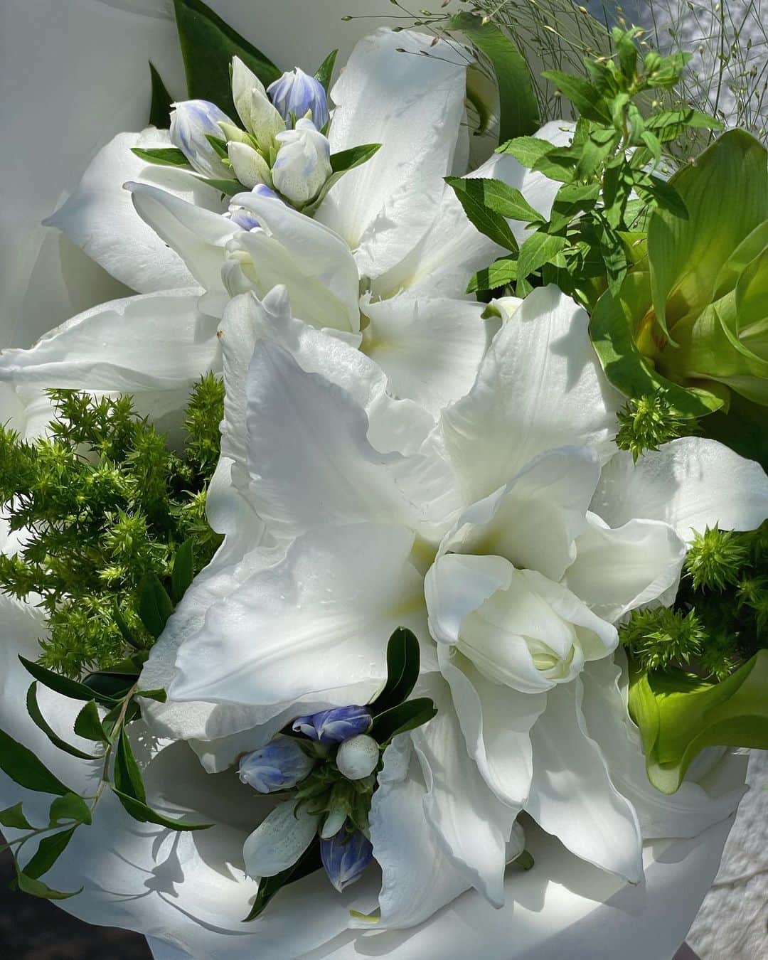 蓼沼綾のインスタグラム：「▼  𝐴𝑈𝐺  気づけばもう8月。 この時期はお花を頂くことが多くてとても嬉しい ◡̈🤍  夏場のお花の水には氷を入れて冷んやりキープしてます🧊  #august  #8月 #花束 #bouquet  #フラワーアレンジメント  #お花のある暮らし #lily #百合 #thankyou #aoyamaflowermarket」