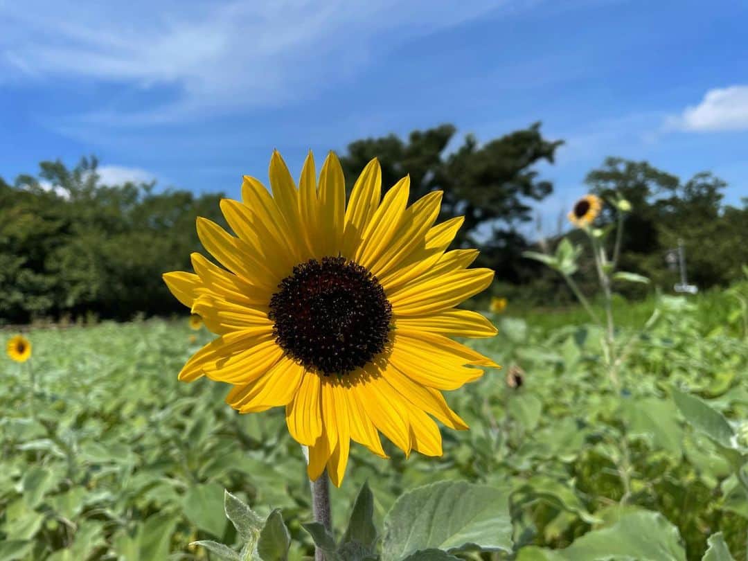 藤坂奈央のグルメインスタ