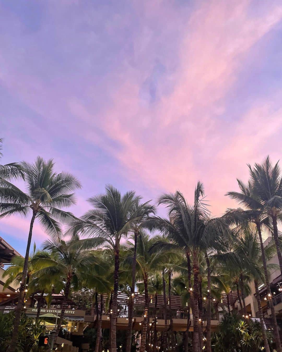 宮内理沙のインスタグラム：「🌴🌺」