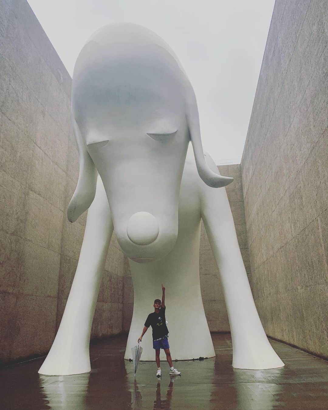 北村栄基のインスタグラム：「🐶あおもり犬🐶  #青森県立美術館あおもり犬  #青森 #青森県立美術館」