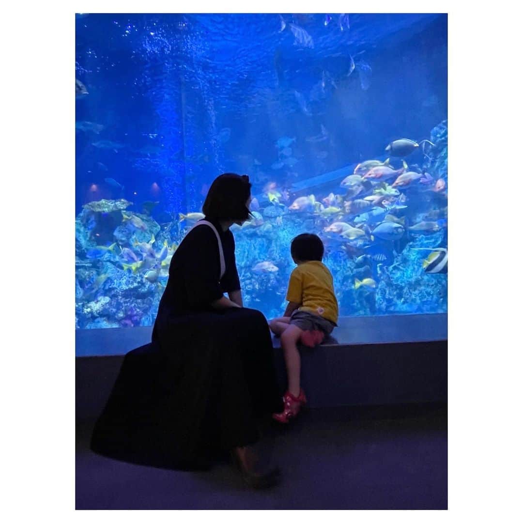 前田敦子のインスタグラム：「. 夏ちょこちょこ満喫できてます☀︎  #水族館 #伊勢」