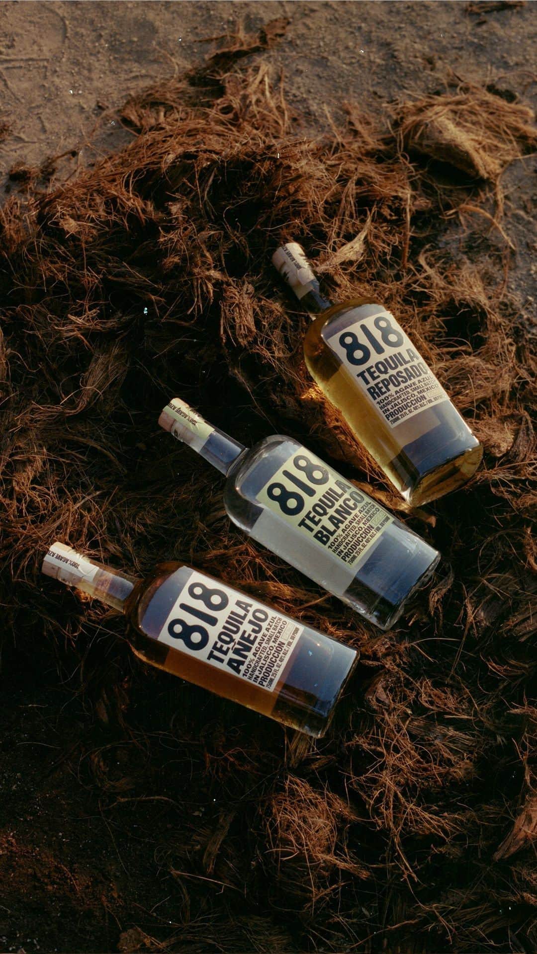 ケンダル・ジェンナーのインスタグラム：「learn more about our work with @sacredagave in Mexico at drink818.com/bricks」