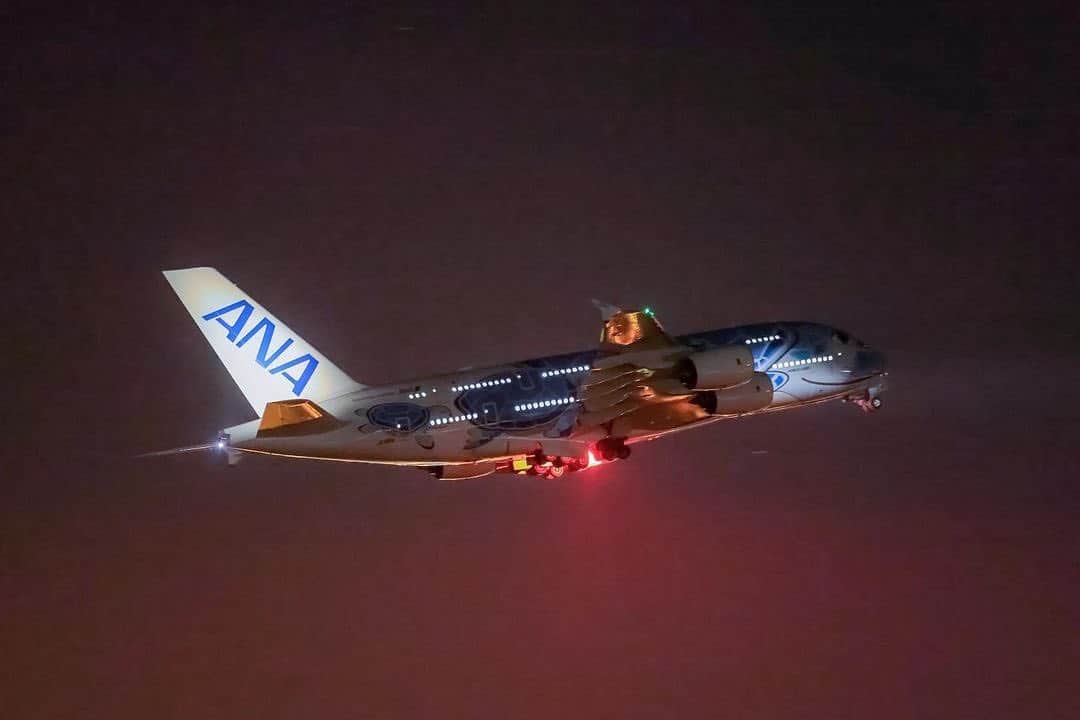 ANAのインスタグラム：「いまからホノルルに行ってきます🐢✈  （Photo：@katorine_m）  フライングホヌのご予約はこちら🌺 https://ana.ms/3sIn0Yp  #allnipponairways #ANA #空港 #airport #飛行機 #airplane #旅 #旅行 #トラベル #travel #フライングホヌ #flyinghonu #A380 #エアバス #airbus #再就航 #restart #成田 #nrt #ハワイ #hawaii #ホノルル #honolulu #ワイキキ #waikiki #ハワイ行きたい ⛱」