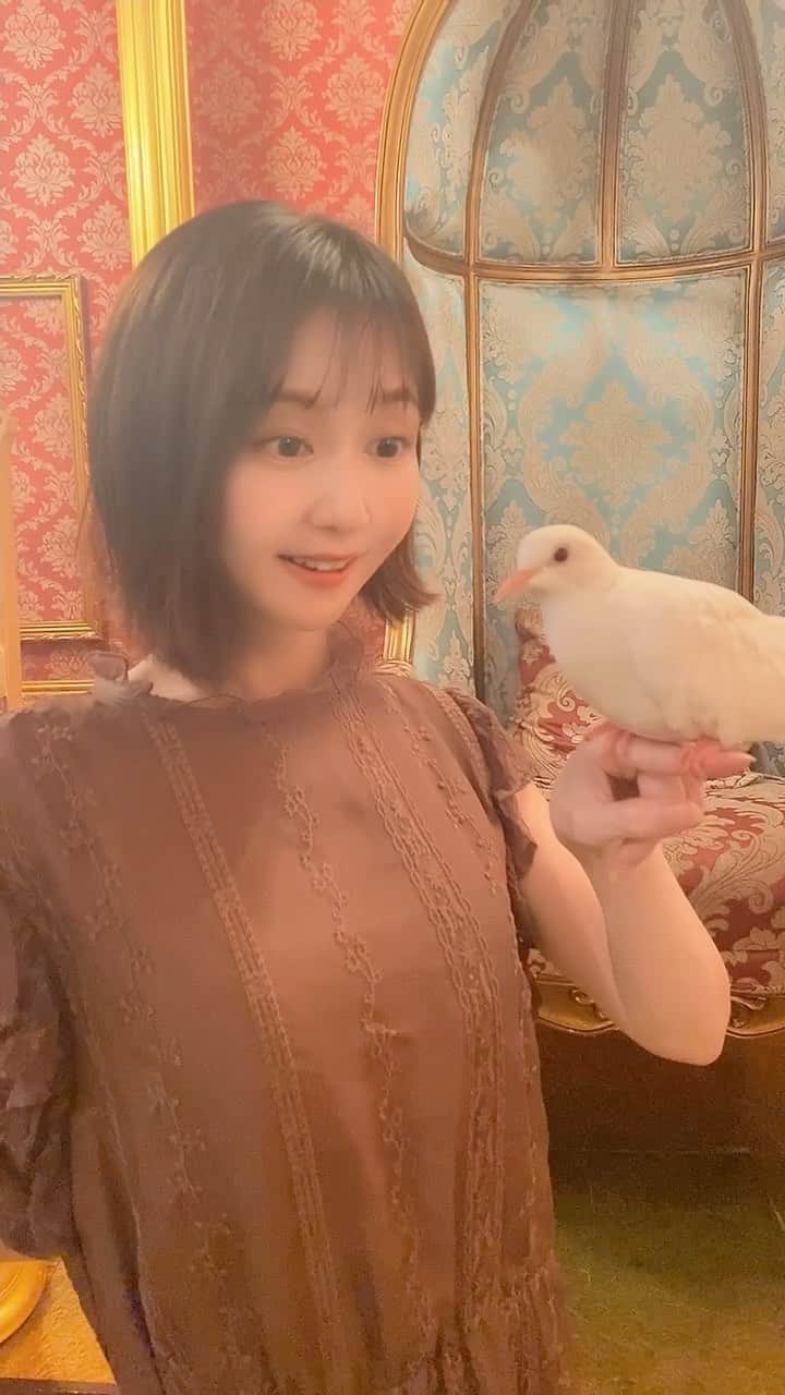 金久保マユ（ぼんぼん）のインスタグラム：「magic show🕊 　　 マジックショーを魅せてもらいました🕊 初めてハトが出てくる所見たよ〜！！ 　　 ハトを抱っこ？じゃない、なんていうんだろう？笑 乗せさせて頂いて……？笑 　　 たまに動くからビビりながらですが、 凄く可愛かった〜！！貴重な体験でした😂💖 　　 　　  #ショートカット#ミディアム#垢抜け#美意識向上#ワンピース#きょコ#カフェ#いいね#おんなのこ#ヘアアレンジ#女優#写真#ポートレート#被写体#グラビア#タレント#ゲーム#game#gamegirl#アニメ#漫画#マジック#magic #ショー #animegirl#love#game#manga#followforfollowback」