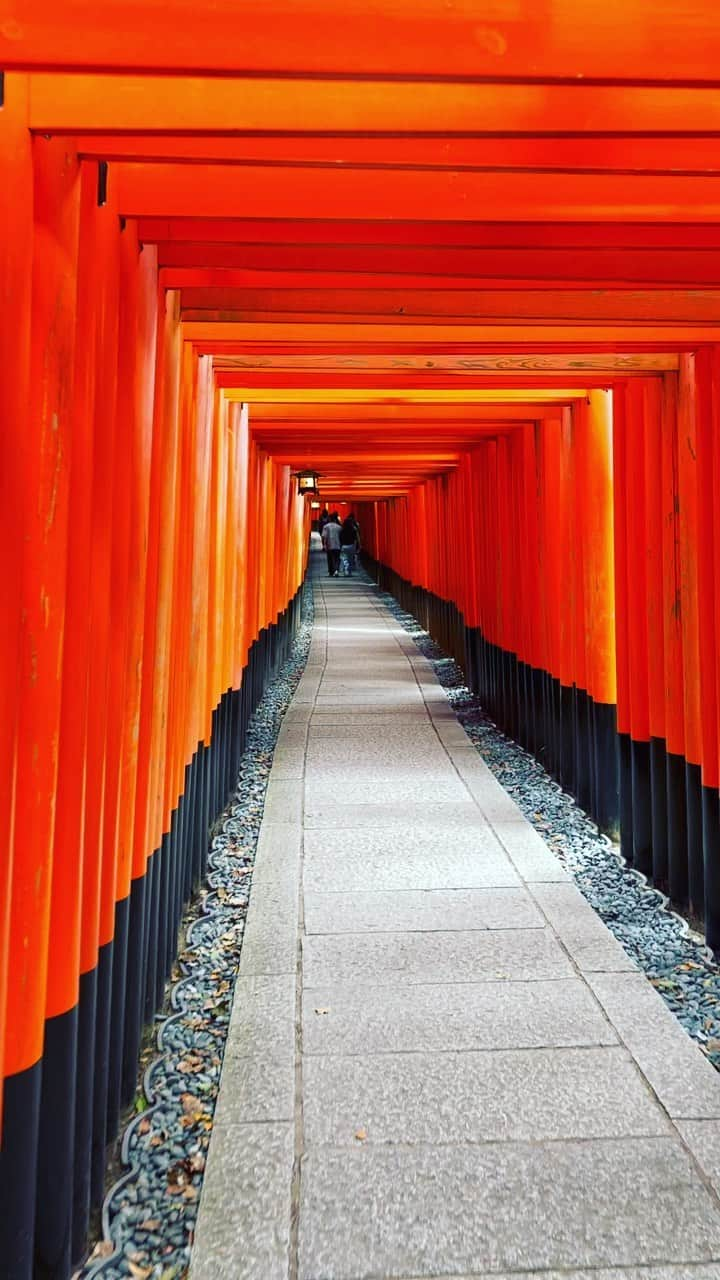 遠野遥のインスタグラム：「#京都 #伏見稲荷大社」