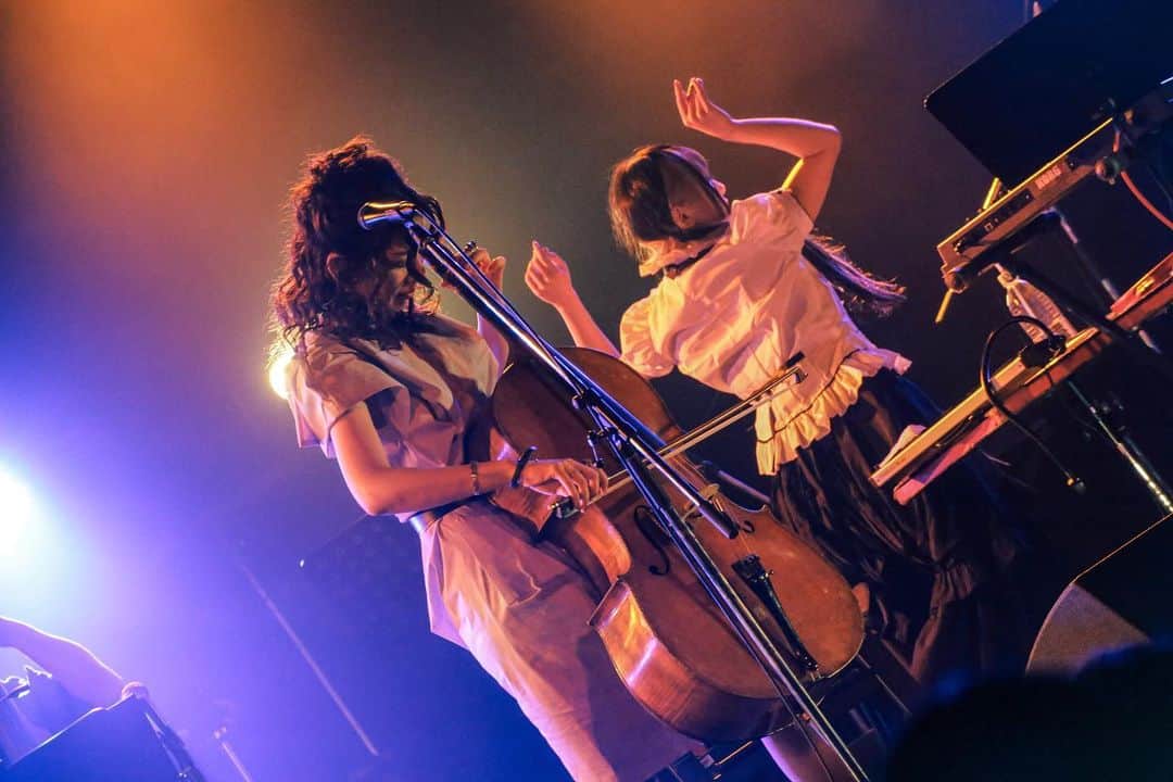 分島花音のインスタグラム：「#つぶあんこしあんトレビアン   photo @moca_esta」