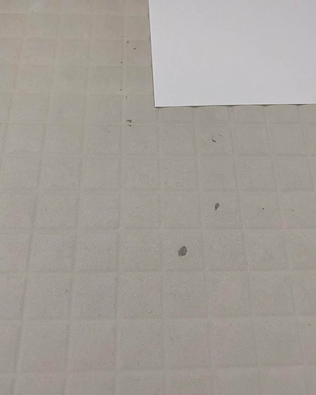 minminさんのインスタグラム写真 - (minminInstagram)「うちのお風呂の床 沢山傷がついて気になってたんですよね😭  水槽を置いた時に角で削れたり 掃除用具とか物を落として…とか とにかくこの7年で傷が沢山。  特にこの床は下地がグレーなので 傷がとにかく目立つんです💦  床の取替えなんて出来ないし 床を全塗装してくれる業者を調べたりしたのですが、 いつか剥げてきそうでずーっと悩んでいたのです💦  んで、  先日友達に相談したら 剥げた部分だけリタッチしてみて ダメなら全塗装したら？ってことで 色を塗ってもらいました😍  グレーっぽい白に見えるけど 白、黒、赤、黄色、青の油性ペンキを組み合わせて 微妙な色を調合してもらいました✨  顔を近づけないと塗った場所も 全然わからないし新品みたい！！  ずーっとずーっと 気になってたので感激です😂✨  #お風呂#バスルーム#リクシル#リクシルお風呂 #アライズ#LIXIL#LIXILお風呂#お風呂掃除#お風呂床#リタッチ#お風呂塗装#塗装#補修#補修工事#色塗り」8月2日 22時50分 - amiagram
