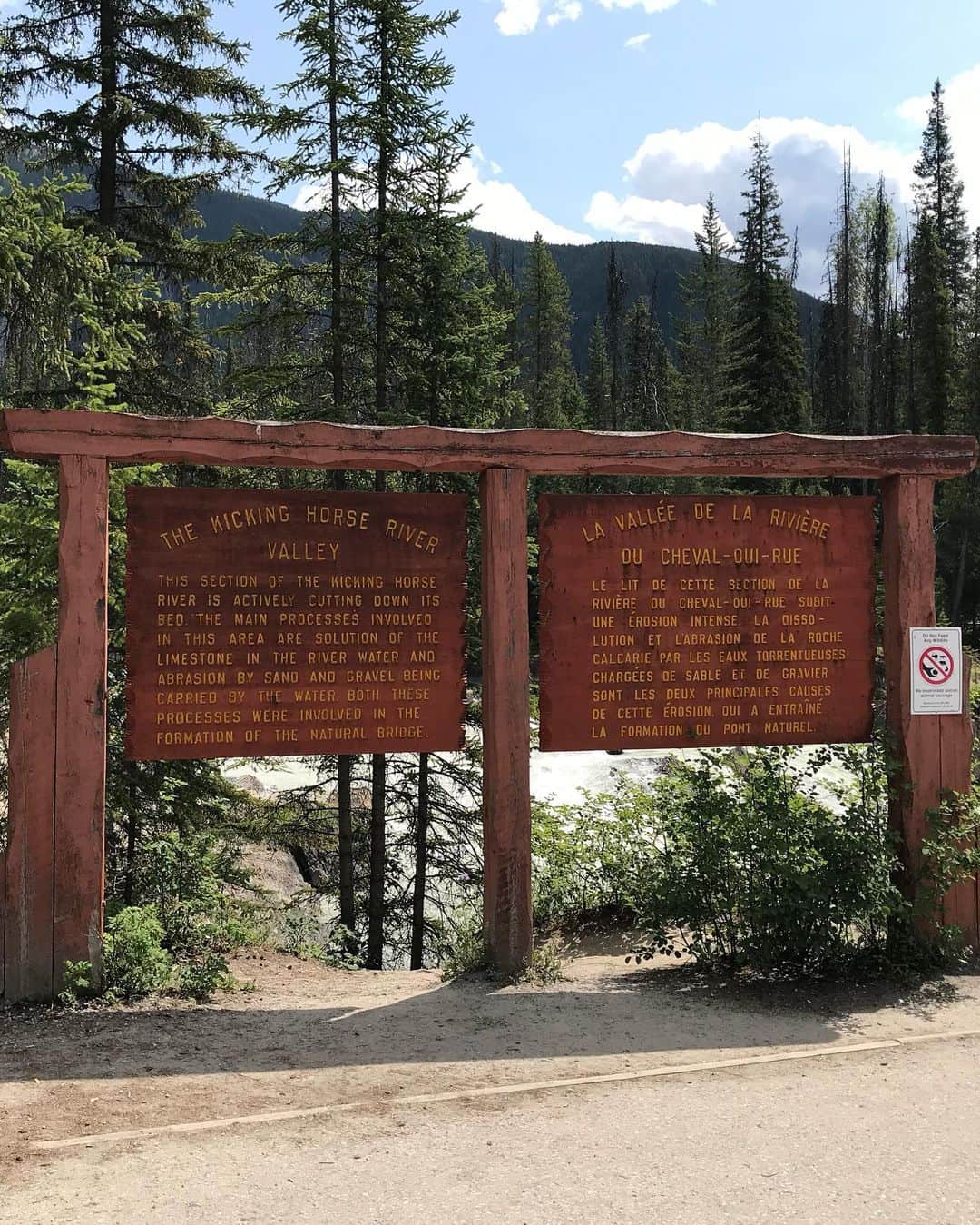 石黒エレナさんのインスタグラム写真 - (石黒エレナInstagram)「. . Emerald Lake🤩」8月3日 0時11分 - 08elena05