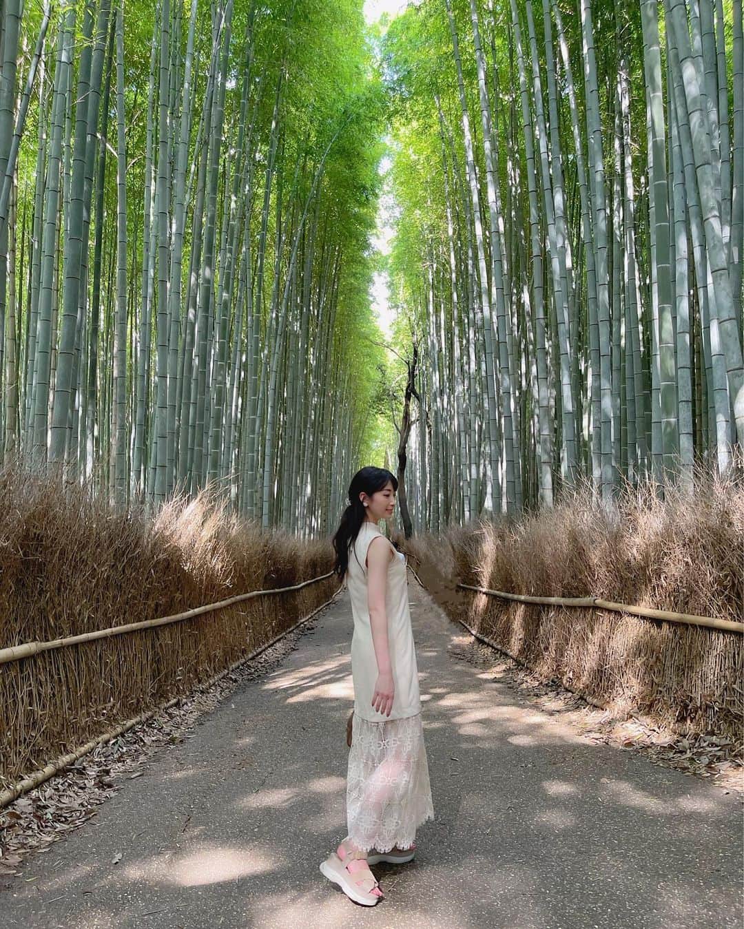 のインスタグラム：「#竹林の小径 🎋☀️ . . 京都嵐山へ、、🎐 前回の #京都旅 で行けなかったので念願の場所✨ 浴衣で着てる方も多くてそれだけで気持ちが涼んだよ👘♡  (しかし涼しかった〜〜と言いたいところですが一生汗止まらないし蚊が大量発生しててめちゃくちゃ戦ったのも良き思い出🤣👏🏻) . . . . #京都旅行 #京都 #嵐山 #嵐山観光 #嵐山竹林 #kyoto #kyotojapan #kyototrip #kyototravel #kyotogram #arashiyama #京都観光 #嵐山カフェ」