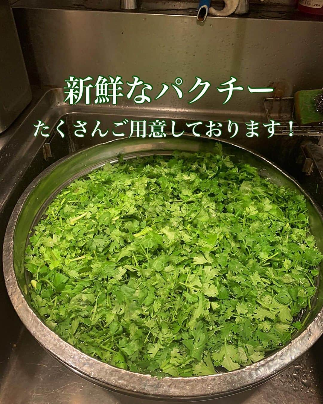 ベトナムフロッグ汐留のインスタグラム：「こんにちは！ 東京 汐留のベトナム料理専門店 ベトナムフロッグです🐸 本日も元気に営業しております😊✨  店内でのご飲食、店頭でのお弁当販売も行っておりますので、 自慢のスタッフと共にご来店お待ちしております！  また、新鮮なパクチーもたくさんご用意しておりますので、 パクチー好きの皆様も是非お越しください🌿  では、本日も外は暑いのでお体にお気をつけてお過ごし下さい😌♩  📍 東京都港区東新橋 1-5-2 汐留シティセンター B1F  🚃アクセス  JR新橋駅汐留口より徒歩3分 地下鉄新橋駅2番出口より徒歩3分 地下鉄汐留駅より徒歩1分 ☎050-7300-2964  #ベトナムフロッグ #ベトナムフロッグ汐留店  #東京 #汐留 #新橋 #ベトナム料理 #パクチー #アジアン #東京ランチ #汐留ランチ #新橋ランチ #お弁当」