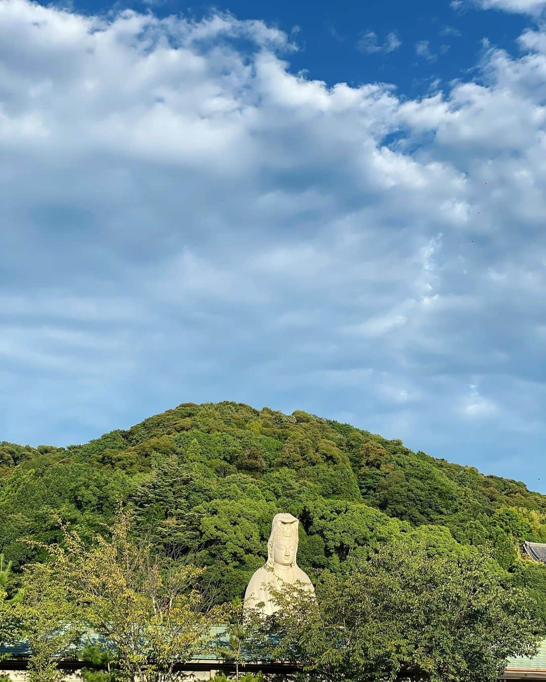 迫田里奈（りなぽよ）さんのインスタグラム写真 - (迫田里奈（りなぽよ）Instagram)「高台寺⛩  京都の街並みが本当に好き。🇯🇵  そして、🍦が 食べ物の中で1番好き。  . #親孝行旅」8月3日 12時16分 - rinapoyo.1129