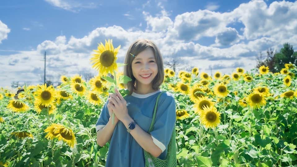 MIYUのインスタグラム：「⁡ ⁡ ひまわり畑 第2弾🌻 ⁡ ⁡ ひまわり畑の写真は、 一眼レフで撮りました〜♩ ⁡ ⁡ 動画も作ろうかなと思っていて… 見て頂けますか？？🐼🥹 ⁡ ⁡ ⁡ ⁡ まもなくPLAY BALL🔥 今日は絶対勝つぞ！！！！ 顔晴れ！バファローズ✨ ⁡ ⁡ ⁡ ⁡ #ひまわり畑 #滋賀 #おすすめスポット #オリックス #Bs2022 #BsGirls #オリ姫 #野球 #プロ野球 #オリックスバファローズ  #野球女子 #野球好き #ユニフォーム女子  #baseball #ORIX #Buffaloes #MIYU #miyu_337  #🐼」