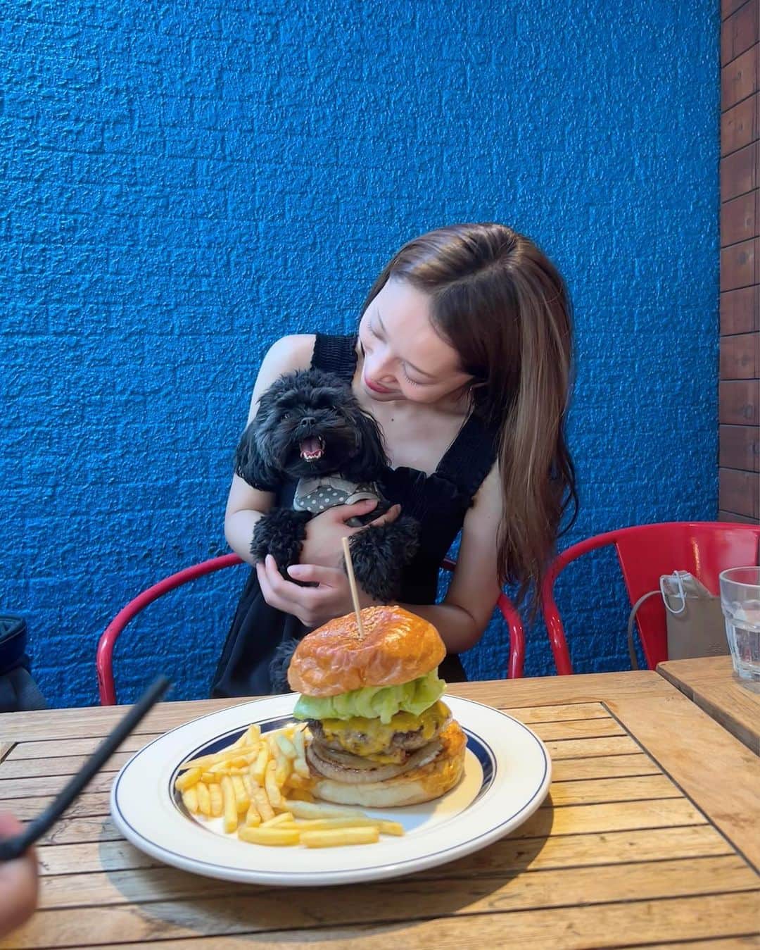 神部美咲のインスタグラム：「みみちゃんと初ランチ🍔❣️  暑かったけど 楽しそうだった🤭🥰  明日からまたがんばれそ😋  #シープー #ドッグカフェ」