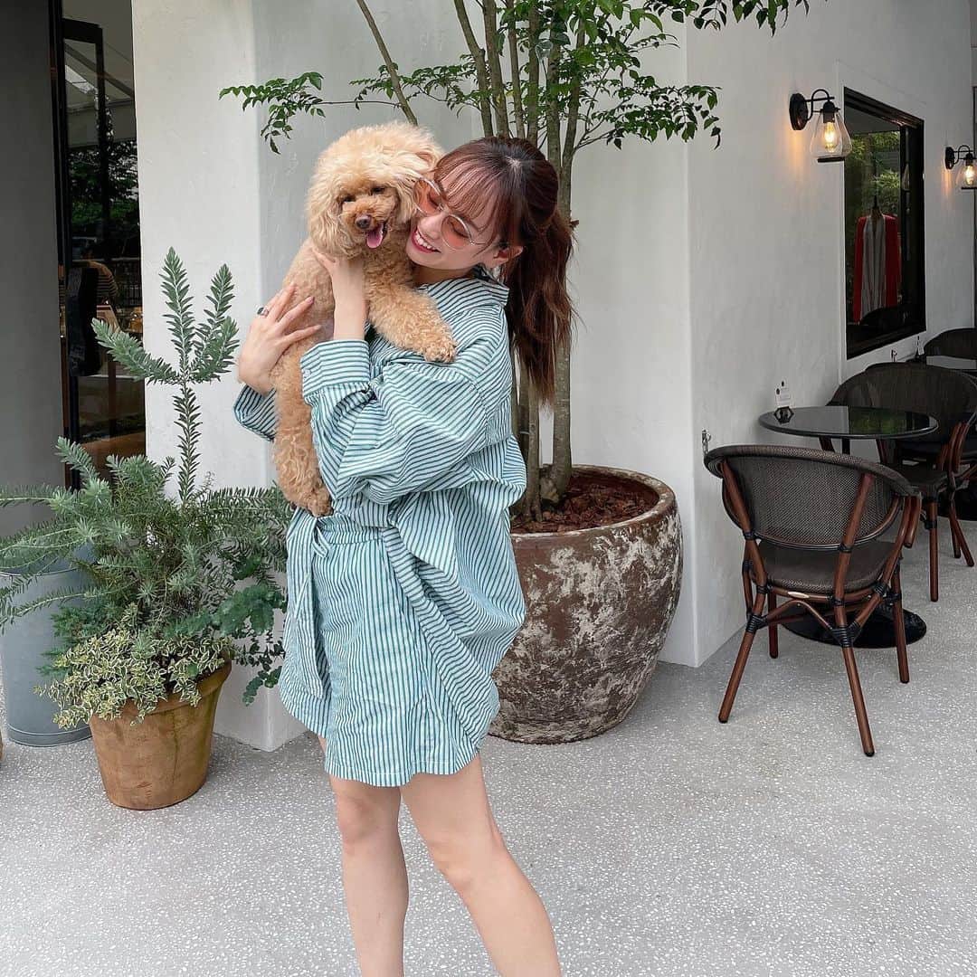 のインスタグラム：「🐕 ＊ いつの日かの休日♡ ＊ #h&m #setup #シャツ #セットアップ #ファッション #fashion #code #cafe #dog #犬可カフェ #池尻大橋 #followme #フォロミー #撮影 #モデル #model #actor #藤澤友千菜」