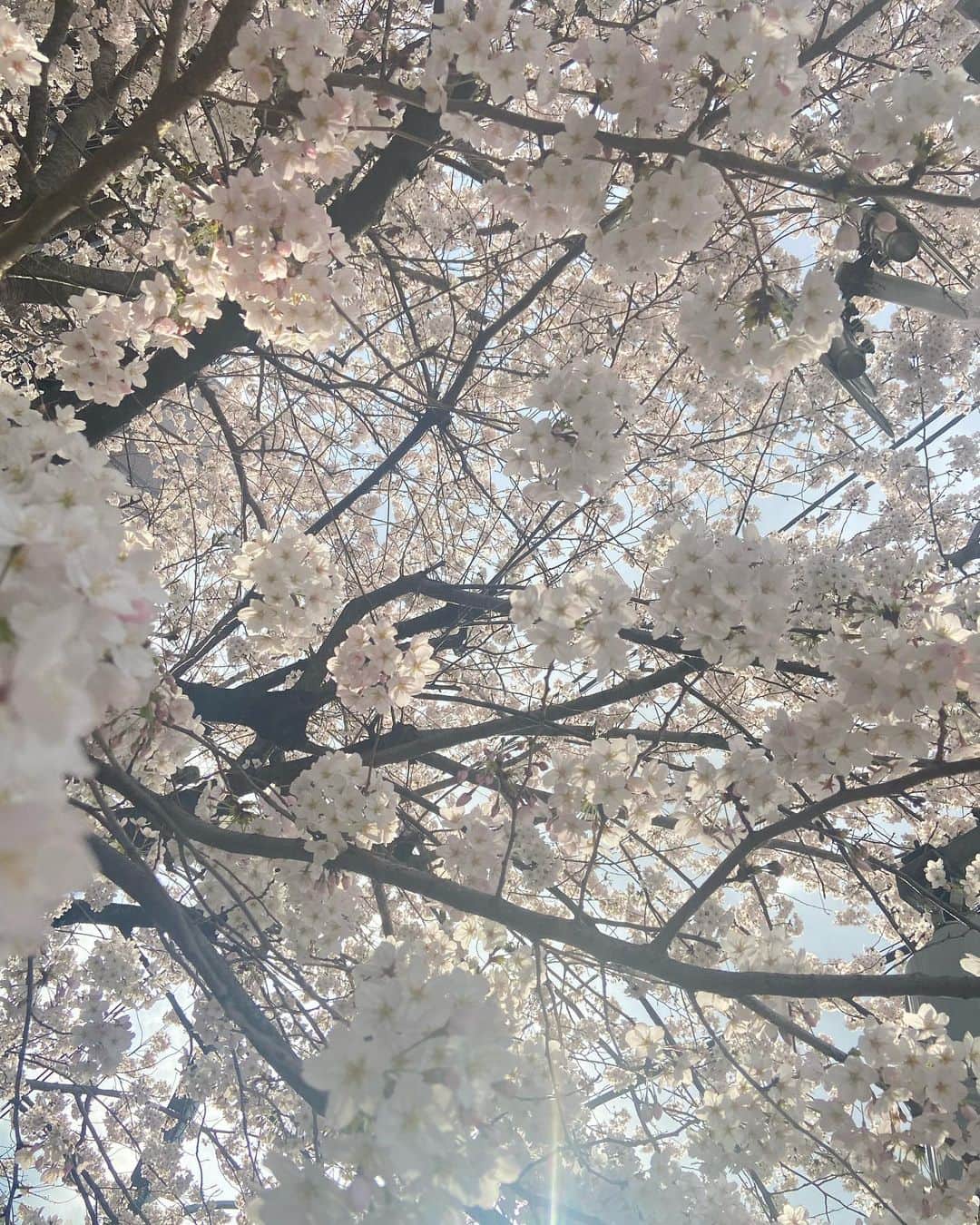 宮村ななこのインスタグラム