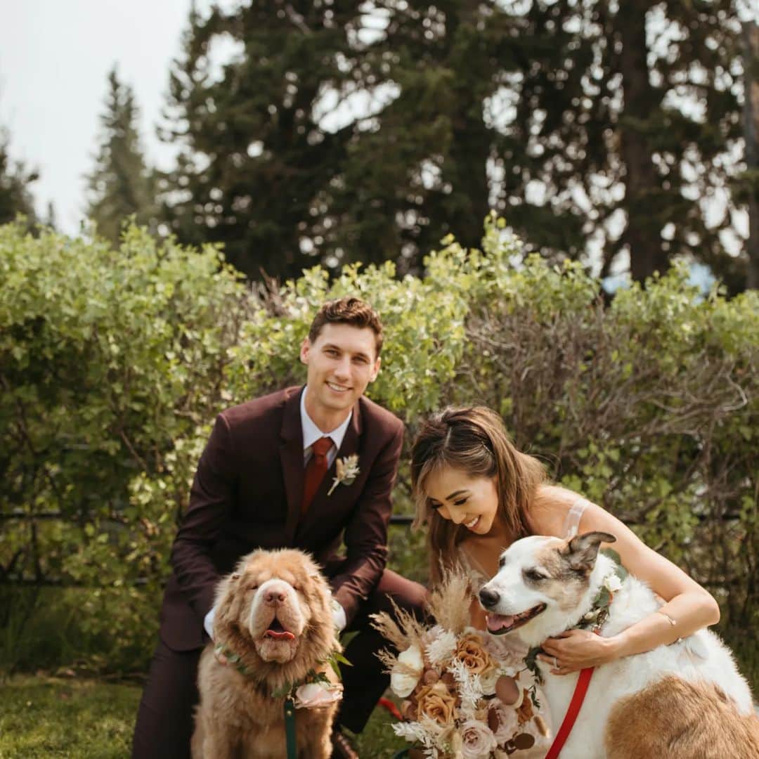 Tonkey Bearさんのインスタグラム写真 - (Tonkey BearInstagram)「Wedding derps at auntie and unkie's. Max and Tonkey love you so much @la_ange and @koemankees」8月4日 4時59分 - bearcoat_tonkey
