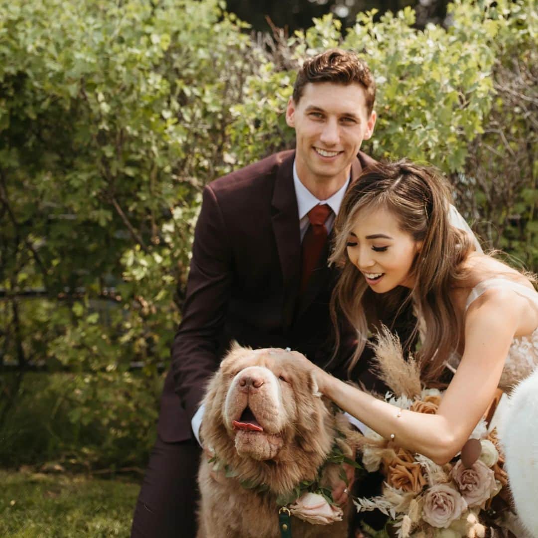 Tonkey Bearさんのインスタグラム写真 - (Tonkey BearInstagram)「Wedding derps at auntie and unkie's. Max and Tonkey love you so much @la_ange and @koemankees」8月4日 4時59分 - bearcoat_tonkey