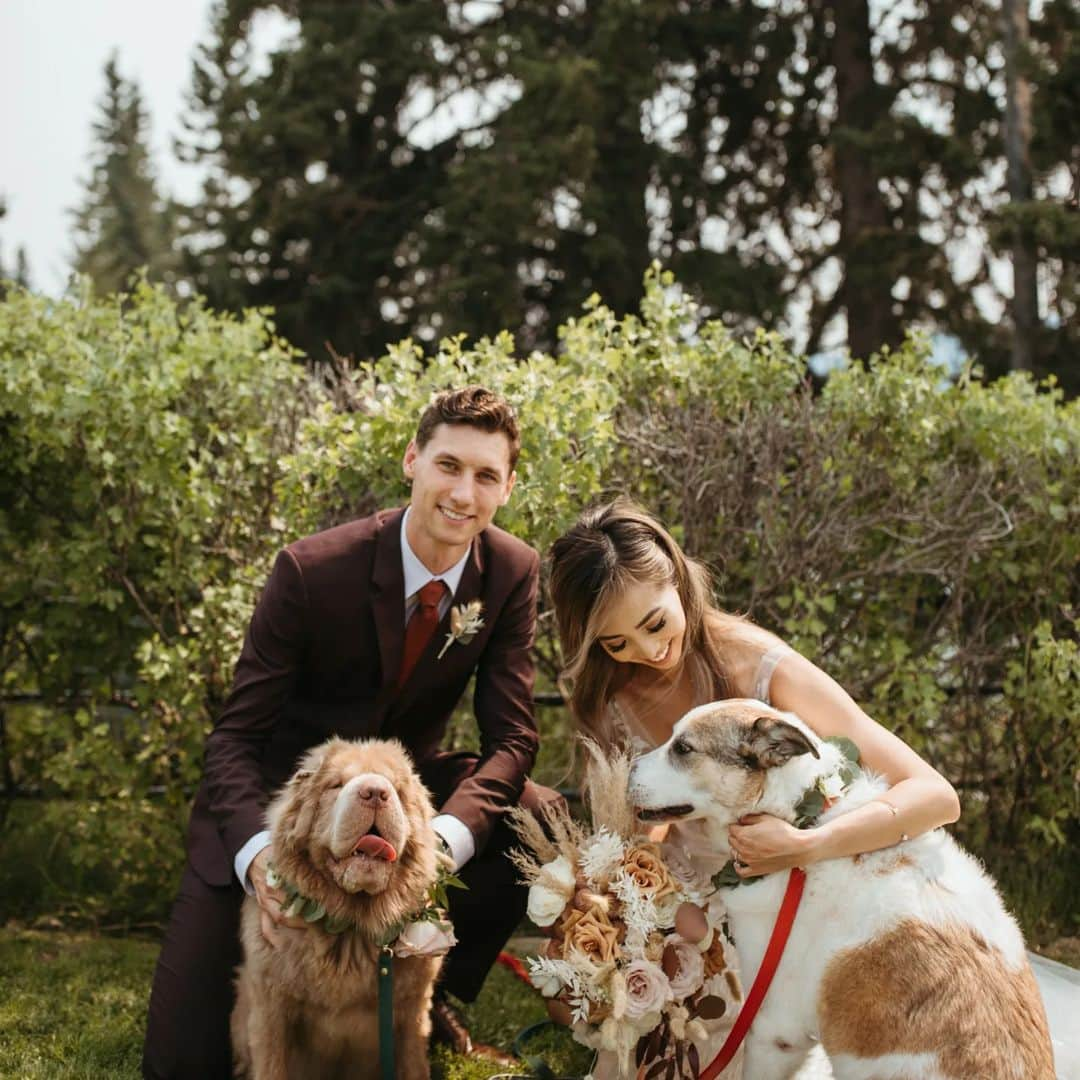 Tonkey Bearさんのインスタグラム写真 - (Tonkey BearInstagram)「Wedding derps at auntie and unkie's. Max and Tonkey love you so much @la_ange and @koemankees」8月4日 4時59分 - bearcoat_tonkey