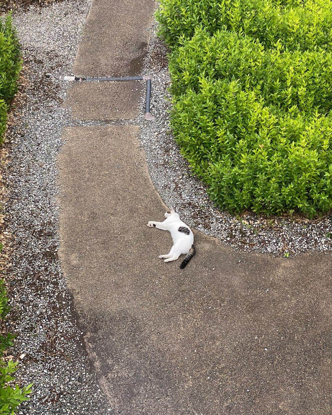 大久保勇利さんのインスタグラム写真 - (大久保勇利Instagram)「続 そしてそして！  僕らの船は宮崎、日南にたどり着いたのであった〜😆 九州の自然、太陽のパワーは物凄い！地球を肌で感じ、目で見て耳で聞く〜❤️幸せです！ 最高です！ありがとう！  続く」9月2日 8時28分 - yuriokubo727