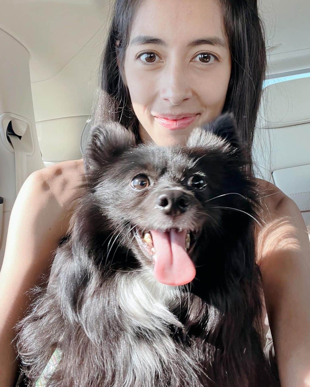 森泉さんのインスタグラム写真 - (森泉Instagram)「初めて出会った犬種 #スキッパーキー ✨これから新しい家族のもとでトライアルスタート❣️仲良くなれるといいなっ🙏」8月29日 11時07分 - izumi.mori
