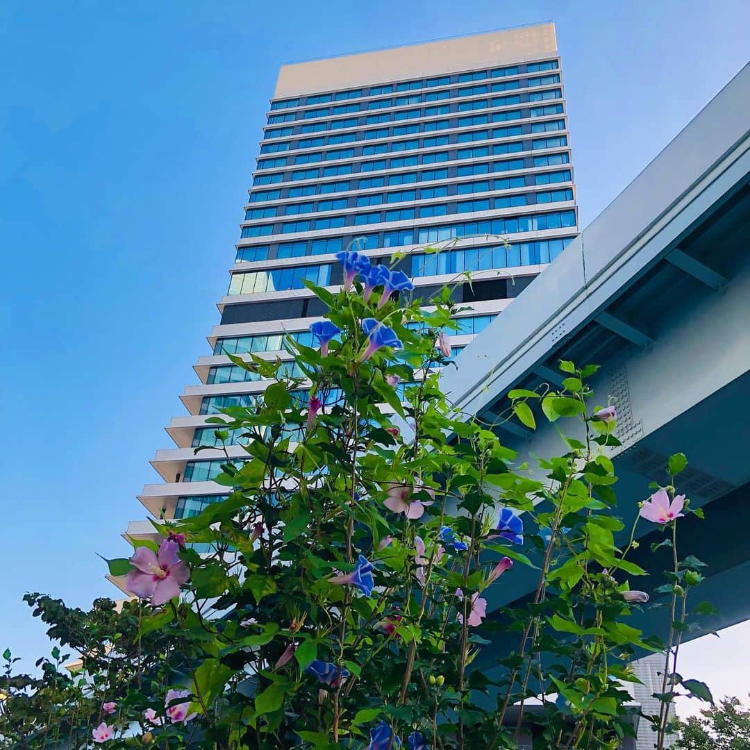 中西圭三さんのインスタグラム写真 - (中西圭三Instagram)「Good morning TOKYO！ 2022.08.29 ⛅️ 22℃ おはようございます☀」8月29日 7時35分 - keizo1111