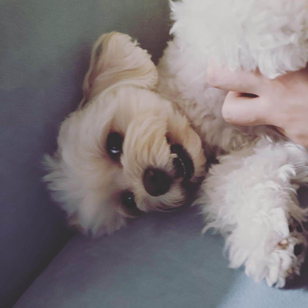 ソンヒョクのインスタグラム：「#smile 😀」