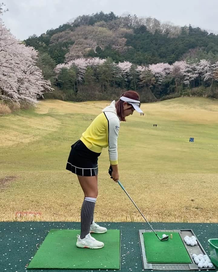 原田怜奈のインスタグラム：「お久しぶりです❤︎ <告知になります> 桜が凄い綺麗な春に #女子ゴルフペアマッチ選手権 という BS朝日の番組の収録が ついに❤︎ 今日21時から放送です😙  櫻井有希プロ天良枝里子プロペア vs 原田怜奈・西田茉楓ペア  仲良しの @nishidamahiro_official と ペアで出さして頂きました❤︎  まひろちゃんとの写真も また載せます😙❤︎ . . . . #女子ゴルフペアマッチ選手権  #女子ゴルフ #golf」