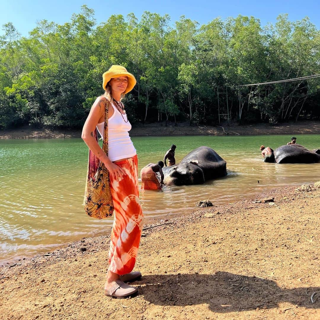 カルロッタ・オッディさんのインスタグラム写真 - (カルロッタ・オッディInstagram)「🤍🐘✨🇮🇳🥰」8月29日 19時09分 - carlottaoddi