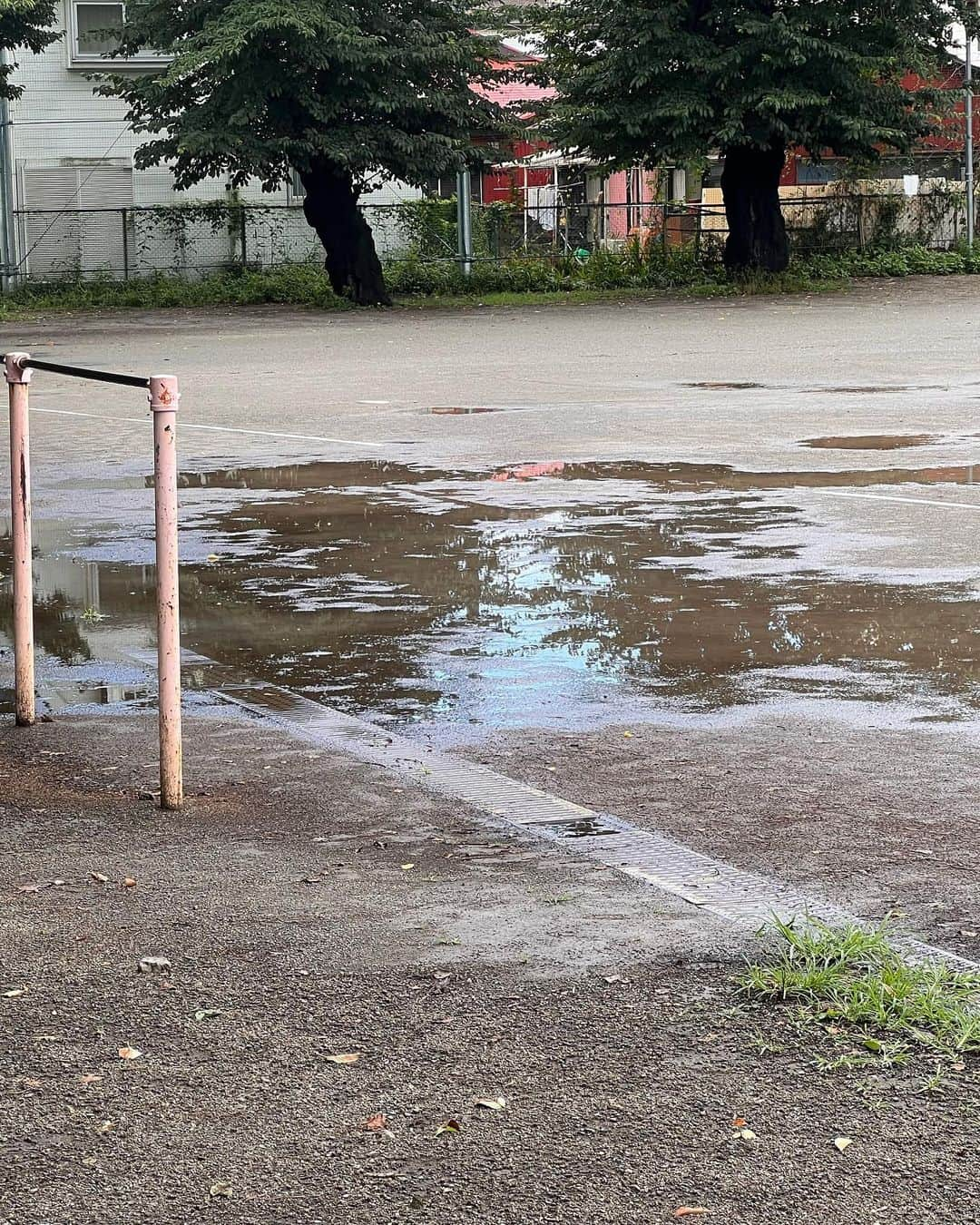 大神いずみのインスタグラム：「ある日の遠征先グラウンド。  いやいやいやこれはもう無理… 雨上がりのこんな水溜まりでも、せっかく試合を組んでくださったので なんとか野球ができるよう、みんなでスポンジに泥水を含ませて水取りをします。  この日はこの広い湖のような水溜まりが，グラウンドいっぱいにひろがっていて…  正直、このあと野球をやれたのが奇跡です😓 子供も親も敵も味方を一丸となって，グラウンドに這いつくばって水を取りました😫  一心不乱にスポンジに水を含ませ続けていたらいつのまにかグラウンドはスッキリして、 ラインカーで線を引いてグラウンドを整えることができました。  今になって思うと、 練習試合で今のチーム最後の遠征に行った時の思い出。  こんな地味な風景一枚で、 ワタシは何年後か一体何杯の酒を飲んで思い出し泣くんだろう，と思うのでした😭  で、 もう一枚は、ある夏の暑い暑い日にフェンス越しに見つめていた夢の島野球場。 なんか『ジリジリジリ…』っていう音が聞こえてくるような景色ではないですか？？ ワタシはもう半分溶けながら携帯でとっていたから💧  …いい加減ワタシの写真 1人くらい人を入れ込んで写そうかな💧  滝汗をかくような熱い日差しのなか、今年の夏もよく球場に足を運んで過ごしました🥵  ワタシは決して足を踏み入れることのないところだけど、うちの家族はそれぞれ別々の球場で野球を頑張っています。  ワタシはひたすら『外』から眺めるだけの野球。 だけどワタシの生活の中でほぼほぼの時間とスペースを占めています。  今年の夏も、駆け抜けたなぁ…  次男はもうすぐ学童チームでの活動を終える季節を迎えます。  水取りも溶けるような暑さも、 今となってはもう 懐かしくて愛おしい時間。  #地味すぎて世界一『映え』ない写真だ #スポンジに泥水がグングン吸い取られるさま気持ちいい #こんなの俺たち毎日毎日だぜと長男は笑った #大神いずみ #野球母 #水取り #夢の島野球場」