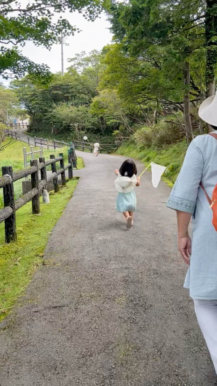 前田阿希子のインスタグラム：「夏の思い出🌞🌴⛰ フラリと御在所に遊びに行きました。 双子たちは頂上に公園がなくて 一瞬つまらなさそうでしたが、 たまたまやっていた、 赤とんぼの調査のボランティアに参加👧👧  御在所は赤とんぼの避暑地でだそうで、 秋にこのトンボたちがどこの平地に降りていくのかを調査しているんだそうʚïɞ 捕まえたら、そっと羽に「G」の印をうって、 オスかメスかの記録を取っていきます。  双子は初めての虫取りに大興奮。 私は虫が全く触れないので 記録と応援係ですꉂꉂ📢 ほぼばぁばが捕まえましたが 赤とんぼと遊べて大満足の双子でした。   Summer Memories🌞🌴⛰. We went to the mountains of Gozaisho. My twins looked bored for a moment because there was no park at the top😂 But we just happened to be doing a We joined a volunteer survey of red dragonflies. Gozaisho is a summer resort for red dragonflies. They are investigating where these dragonflies go down to in the fall. Once caught, they gently mark the wings with a "G" to keep track of whether it is a male or female dragonfly. My twins were very excited to catch bugs for the first time. I can't touch bugs at all, so I'm the one in charge of recording and cheering them on😂 Most of the bugs were caught by grandma. My twins were very happy to play with red dragonflies😆   #夏休み #御在所  #赤とんぼ  #双子のいる暮らし #双子  #twins #summervacation   #ママもそろそろ虫を触らないかんかなぁ」