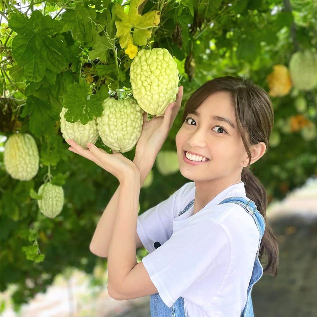 間瀬遥花のインスタグラム