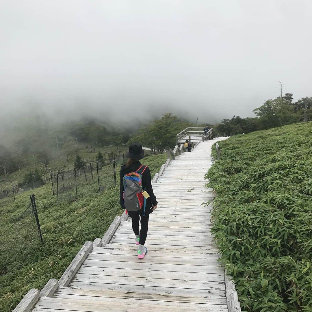 外村久美子のグルメインスタ