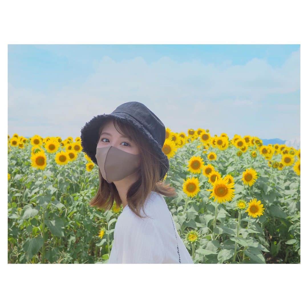 松尾薫のインスタグラム：「🌻 去年は行こう行こうと思っているうちに 台風かなにかでひまわりが終わってしまっていたので 今年は行けてよかった😋🤍  #花の海 #ひまわり畑  #ひまわり #山口県」