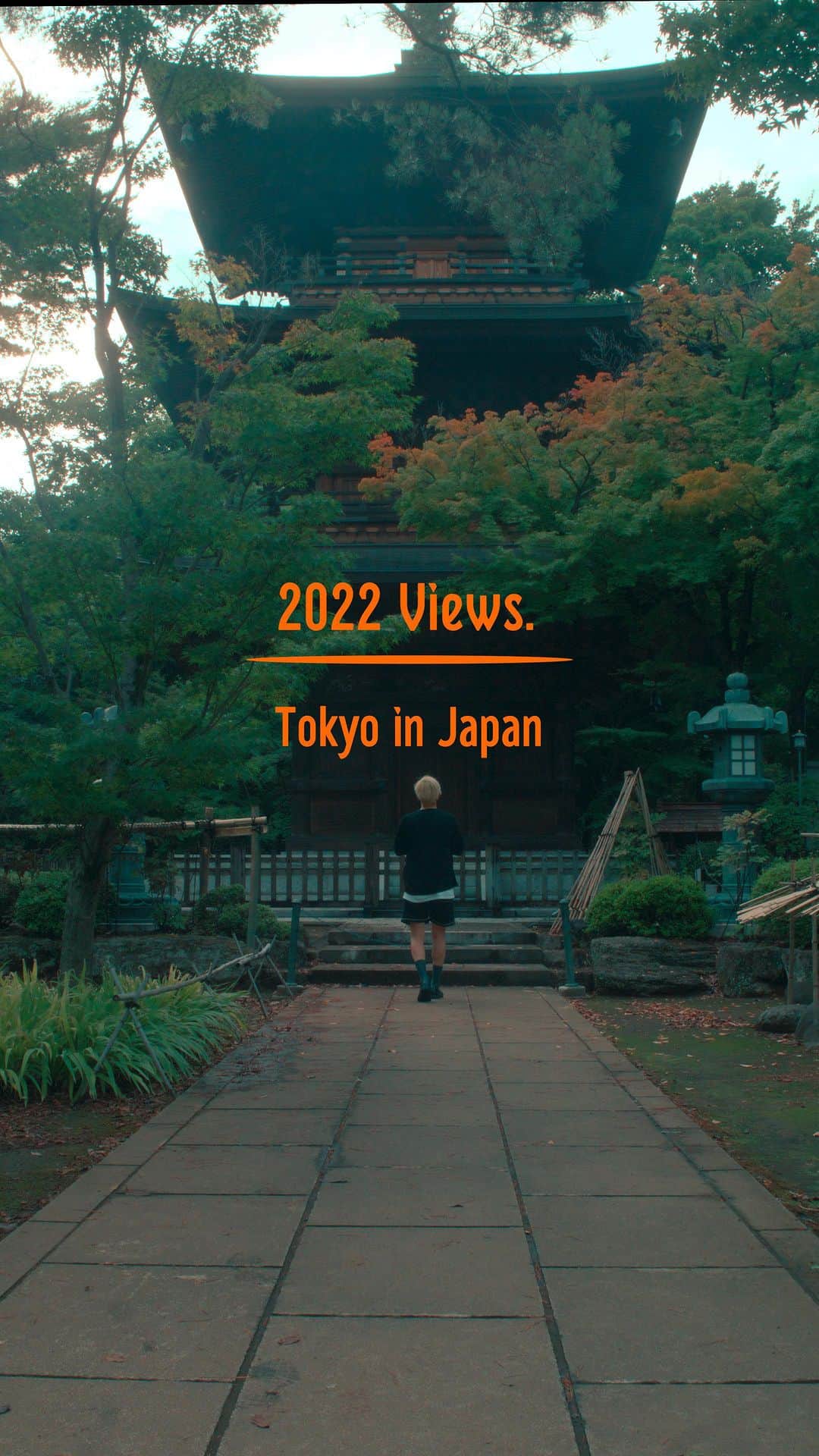 たなしんのインスタグラム：「世田谷八幡宮  Film and music by Tanashin.  https://youtu.be/eb8p_CiLfFc  #visitjapan #japan #japanlife #instajapan #japantrip #japantravel #japón #beautifuljapan #lovejapan #lovetraveling #travelgram #tokyo #setagaya #RED #KOMODO #Leica  #noctilux #cinematic #世田谷八幡宮 #洋服の青山」