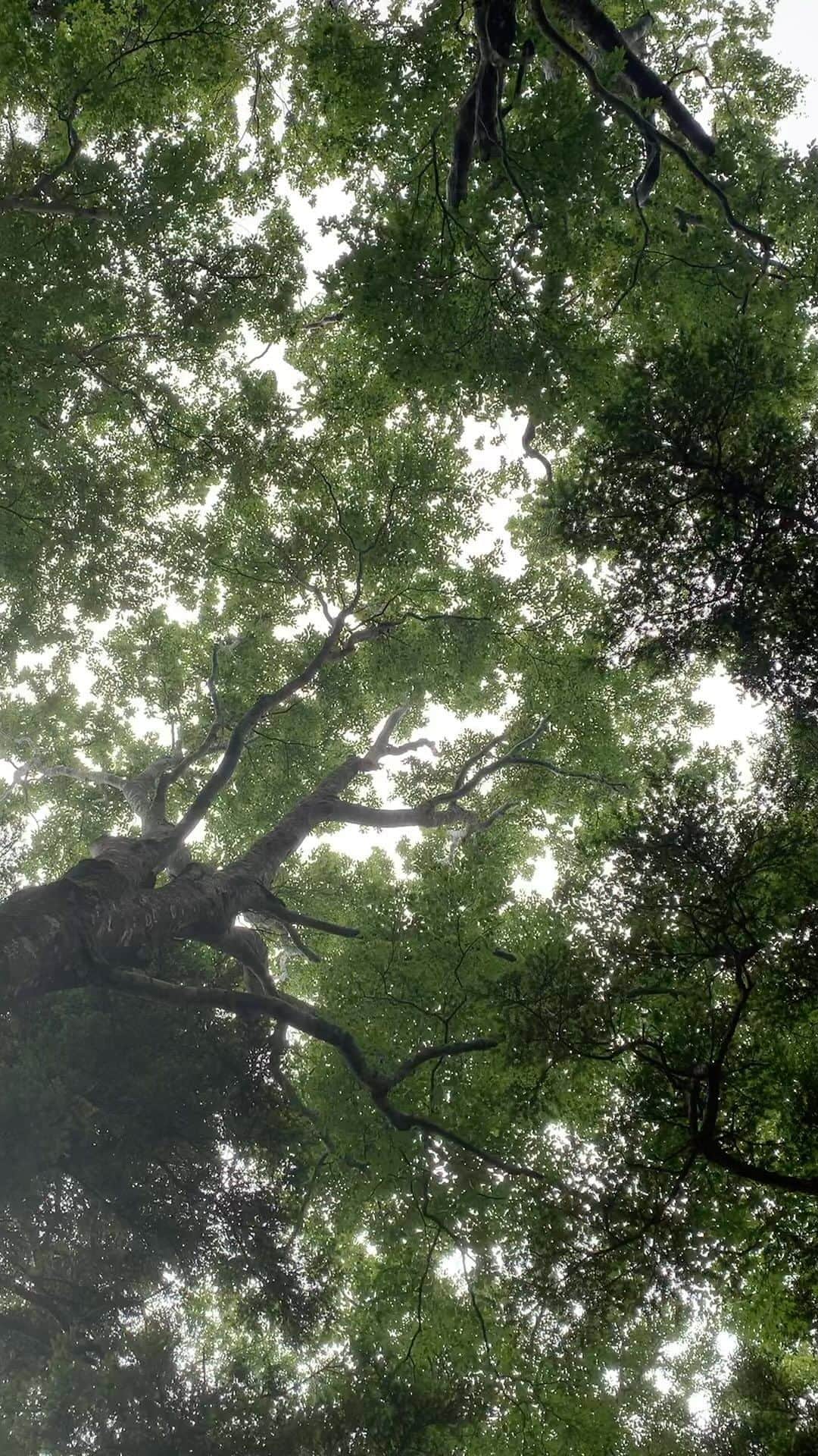 のインスタグラム：「夏が過ぎようとしてますね。」
