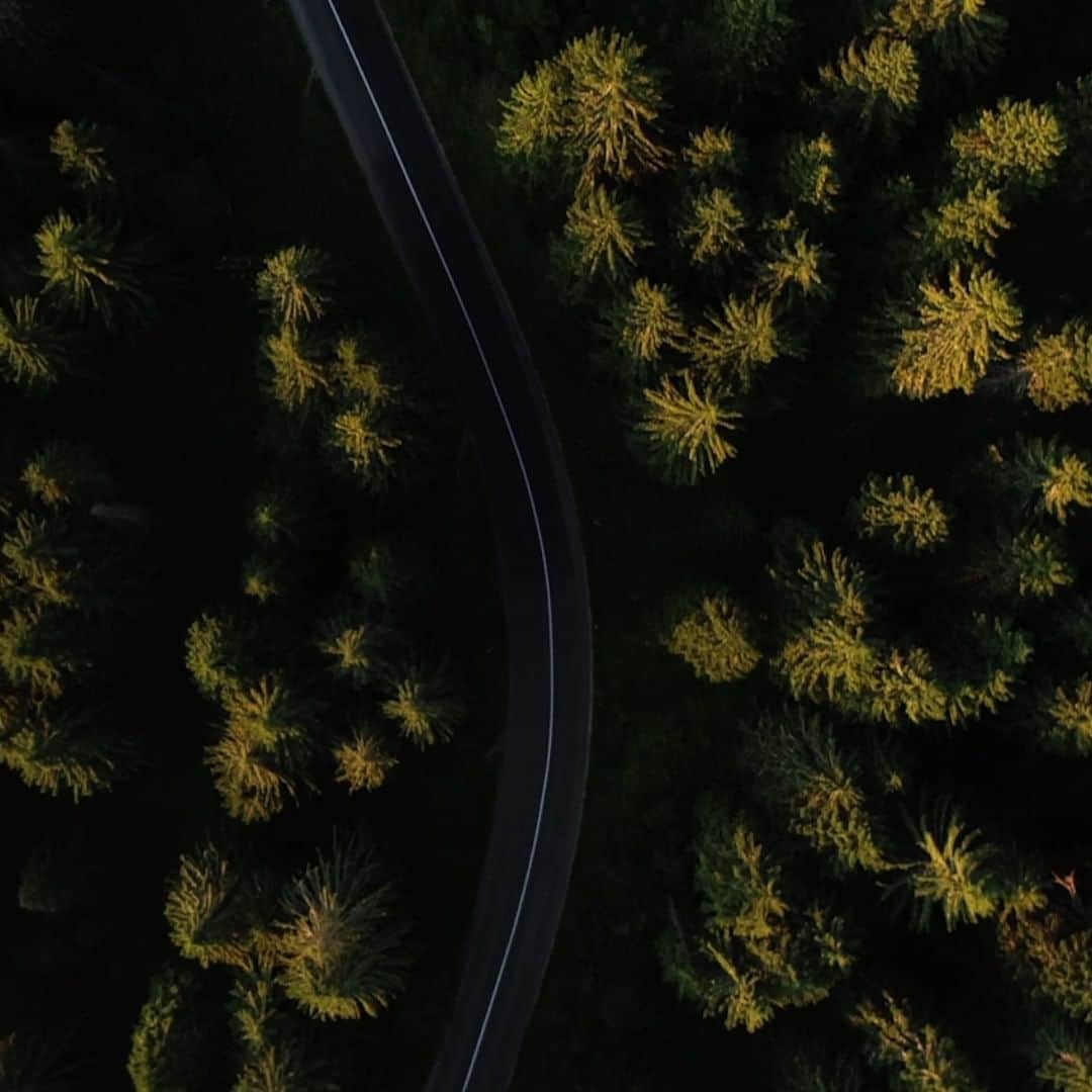 MAZDA Canadaのインスタグラム：「The Japanese practice of shinrin-yoku, or “forest bathing" is nature’s clinic. It can help shake off stress, bring back a sense of wellbeing, and is a great way to get in some final #CX50Minutes. Click the link in bio to learn more about the art of shinrin-yoku. #MazdaStories​ 🔴 ​ Le shinrin-yoku ou « bain de forêt », est une pratique japonaise qui peut vous aider à vous débarrasser de votre stress et vous sentir bien. C'est aussi un excellent moyen de faire vos dernières #CX50Minutes. Cliquez sur le lien dans notre bio pour en savoir plus sur le shinrin-yoku. #MazdaMonde​  #MazdaCanada」