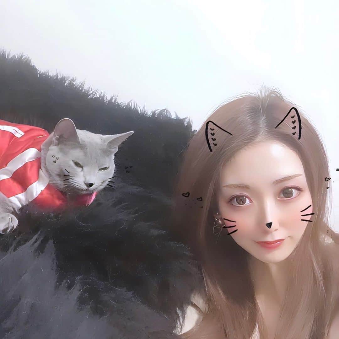 野原くるみのインスタグラム：「ふぐちゃん🐈‍⬛🖤 . . .  . . . . . . . . . . . . . . . . . . . . . . . . #メイクアップ#赤リップ#イエベメイク#イエベ#イエベ春#オシャレさんと繋がりたい#透明感メイク#六本木#銀座#西麻布#錦#ミナミ#ススキノ#中洲#北新地#渋谷#原宿#東京 #ディオール #猫すたぐらむ #猫 #ねこすたぐらむ  #ねこ  #instagood#instatravel#fff #fashion #followforfollow#japanesegirl  #dior」