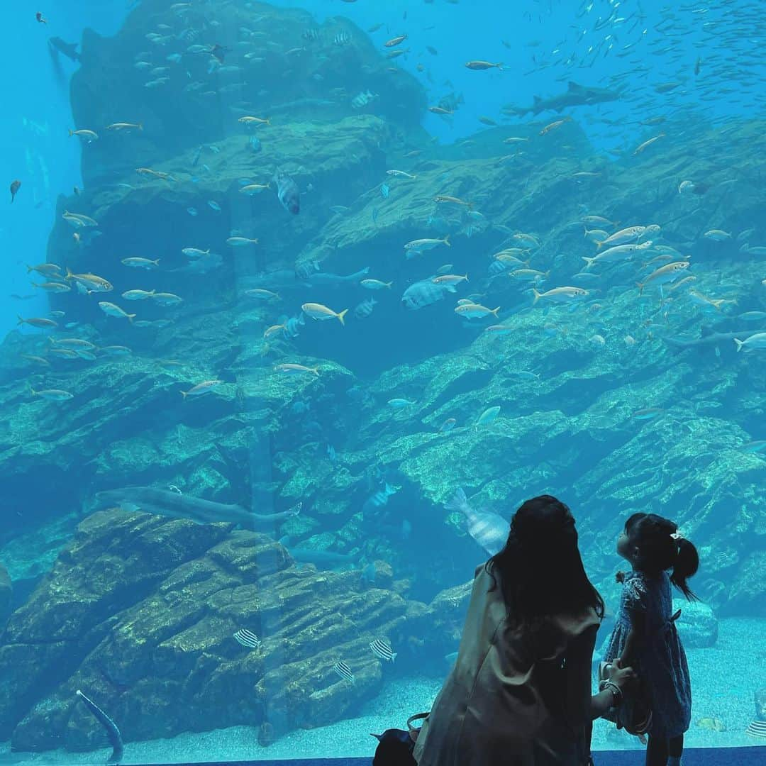 舞花くるみさんのインスタグラム写真 - (舞花くるみInstagram)「⁡ ⁡ 今日は家族で久々の水族館へ。 動物や生き物が大好きな娘は大喜び！！ 我が家の生きもの博士は、 「あ、カクレクマノミ！」や「これはナンヨウハギ〜」「タツノオトシゴ！」など、 難しい名前も言えるようになっていました👏 大好きなカメやイルカにも久しぶりに会えて 嬉しそうだったなぁ🐬🐢 でも1番テンション上がったのはリスだった！笑（水族館なのに、なぜかリスがいるうみの杜水族館🐿✨） ⁡ 最近は動物園に行くことが多かったけど、 水族館もいいなぁ〜🐟💕 ⁡ #仙台 #仙台うみの杜水族館  #2歳10ヶ月 #仙台子育てママ  #転勤族ママ」8月31日 21時57分 - kurumilk_maika