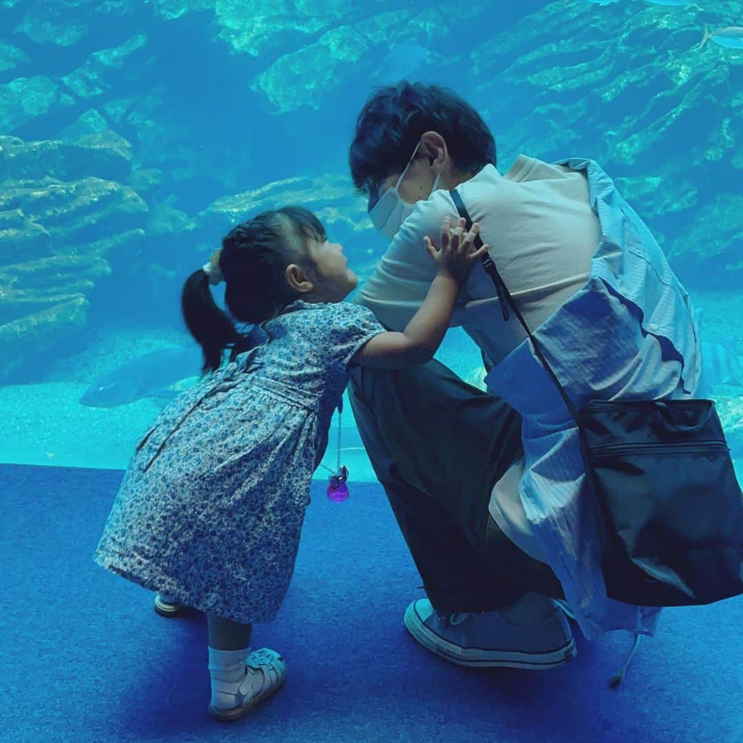 舞花くるみさんのインスタグラム写真 - (舞花くるみInstagram)「⁡ ⁡ 今日は家族で久々の水族館へ。 動物や生き物が大好きな娘は大喜び！！ 我が家の生きもの博士は、 「あ、カクレクマノミ！」や「これはナンヨウハギ〜」「タツノオトシゴ！」など、 難しい名前も言えるようになっていました👏 大好きなカメやイルカにも久しぶりに会えて 嬉しそうだったなぁ🐬🐢 でも1番テンション上がったのはリスだった！笑（水族館なのに、なぜかリスがいるうみの杜水族館🐿✨） ⁡ 最近は動物園に行くことが多かったけど、 水族館もいいなぁ〜🐟💕 ⁡ #仙台 #仙台うみの杜水族館  #2歳10ヶ月 #仙台子育てママ  #転勤族ママ」8月31日 21時57分 - kurumilk_maika