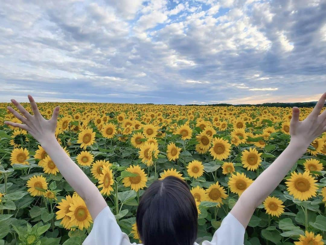 園田あいかさんのインスタグラム写真 - (園田あいかInstagram)「- ̗̀ 🌻 ̖́-  180度ひまわり  初めての北海道ロケで 色んな初めてを経験出来て 心から幸せでした ❁⃘*.ﾟ  色んな私が詰まった Photobookになってると思いますので 是非手に取って楽しんで頂けたら 嬉しいです。☺︎  #1stphotobookマイナスイオン」8月31日 21時59分 - for__offwhitey_9